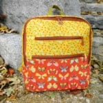 Daytripper backpack