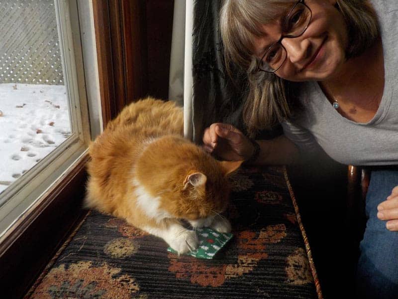 Harry the Cat and Brenda
